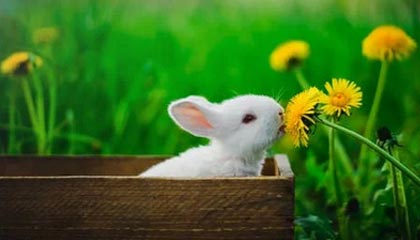 老BWBWBWBWBWBWBW，领略成人内容的独特魅力