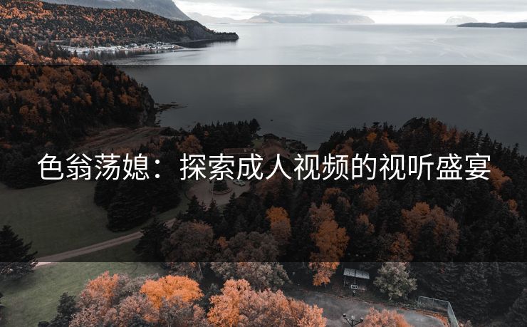 色翁荡媳：探索成人视频的视听盛宴