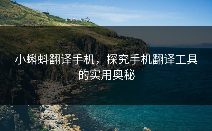 小蝌蚪翻译手机，探究手机翻译工具的实用奥秘