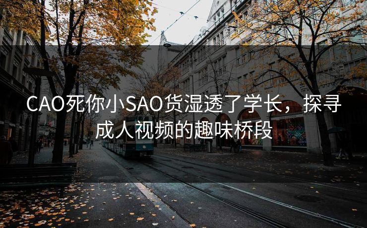 CAO死你小SAO货湿透了学长，探寻成人视频的趣味桥段