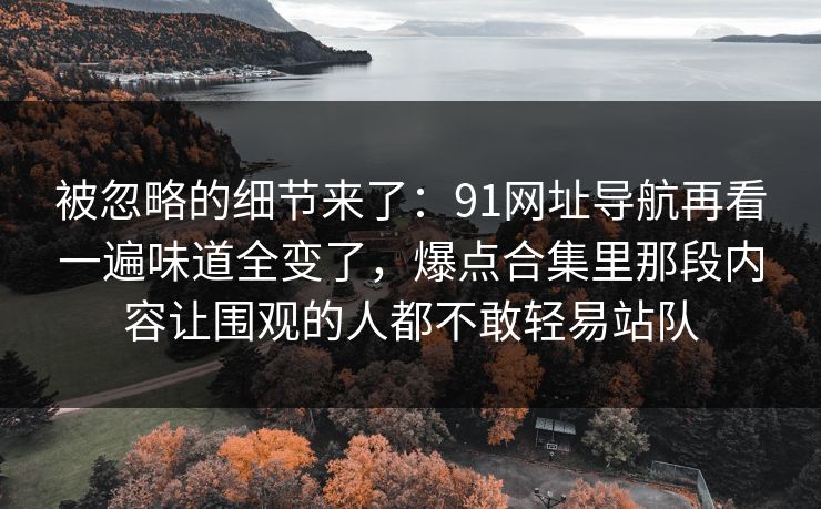被忽略的细节来了:91网址导航再看一遍味道全变了,爆点合集里那段内容让围观的人都不敢轻易站队