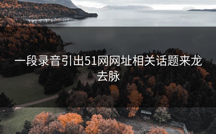 一段录音引出51网网址相关话题来龙去脉